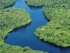 Amazonas-Regenwald-300x190