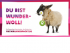 Oxfamschaf_Muttertag_2015_300x225